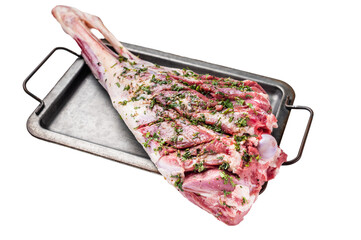 Marinated with herbs and olive oil raw goat leg isolated on white background. top view
