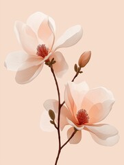 Fototapeta premium Digital illustration of two magnolia flowers on a light pink background.