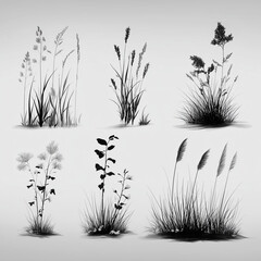 Set of vector trees in various shapes and styles, including deciduous, coniferous, and stylized...