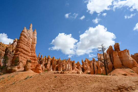 Looking up at the red rock wall of hoodoos on the rim of the Bryce Amphitheater from the Queens Garden Trail in Bryce Canyon National Park, Utah
