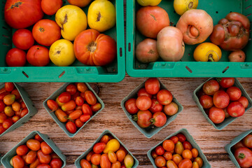 A market stall display featuring baskets of small tomatoes in vibrant colors