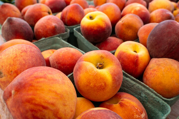 Close-up view of ripe peaches piled together in a crate or basket display