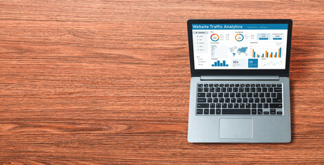 Computer software for website traffic analytics data on computer screen. Concept of SEO search...