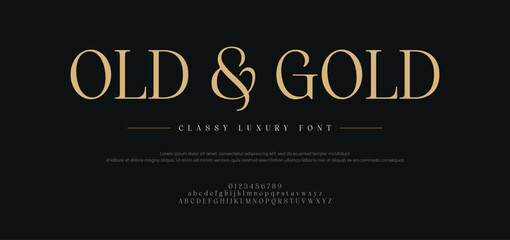 Elegant alphabet logo Font. Luxurious Glamour Exclusive Regular Font. Uppercase Lowercase and Number. Minimal Fashion Design
