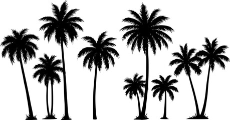 Silhouettes of palm trees