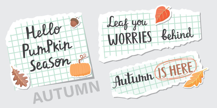 Autumn lettering on torn sheets. Pieces of squared paper, hand-written phrases, leaves, pumpkin and acorn. Collage elements set isolated on grey background. Vector design for banner, card, poster.