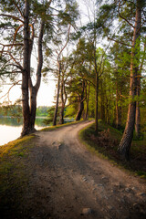 Obraz premium A path along the pond’s dam, lined with green trees, quietly follows the still water’s edge.