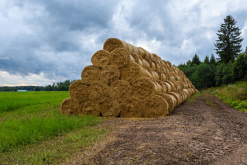 Large stack of hay bales on a field track under a dramatic, cloudy sky, with a lush forest in the...