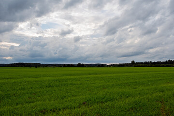Expansive green field under a dramatic, cloudy sky, hinting at an approaching summer thunderstorm....