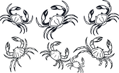 crabs vector with white background 