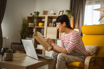 one japanese woman checking box of received package or product at home