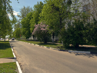 A quiet street in a small town, an asphalt road along which multi-storey buildings are located, which are buried in spring vegetation, a simple spring urban landscape