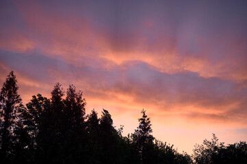 It's early morning, the sun has still appeared above the horizon, but its rays are already illuminating the sky, the clouds are turning red and orange, and the sun is rising above the trees