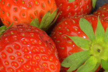 Macro shot of ripe red strawberries on a black background. Ripe strawberries on a black slate background. Close-up and top view
