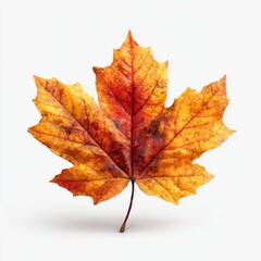 Obraz premium FALL SEASON