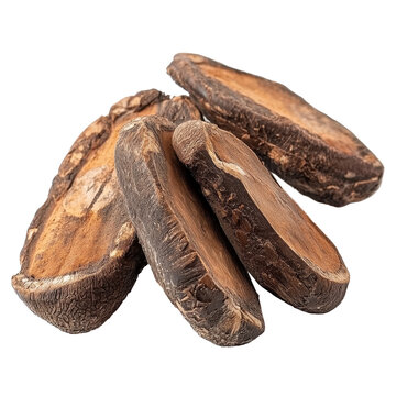 Tamarind fruit pods isolated on Transparent background showing natural textures and colors, Tamarind Isolated on PNG background