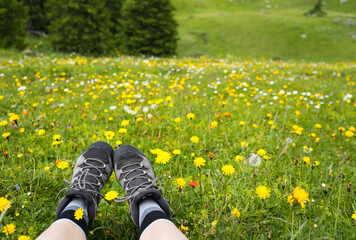 Hiking boots resting on vibrant wildflower meadow, surrounded by lush greenery and colorful blooms,...