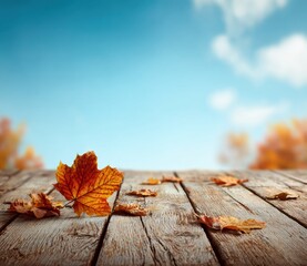 Obraz premium autumn leaves on wooden background
