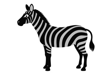 Fototapeta premium Striped zebra vector illustration of a wild animal isolated on a white background