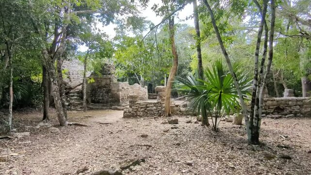 COBA ancient Mayan pyramids in the lush jungle near Tulum in Mexican Yucatan Peninsula.Mexico America