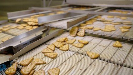 Cookies moving on conveyor belt in food processing plant