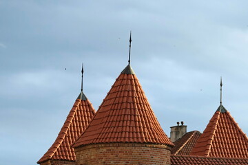 Fototapety na wymiar - Fototapeta24.pl