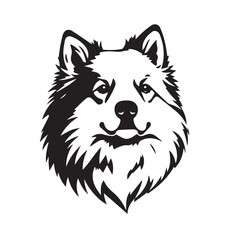 American Eskimo Dog silhouette on white background. Dog head icon. Dog logo design. Dog vector design.