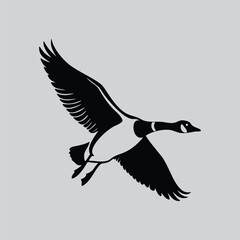 Canada Goose in Flight Art