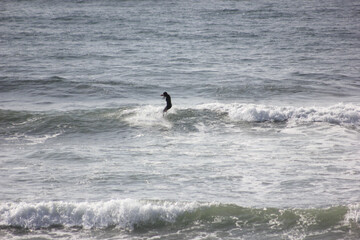 surf