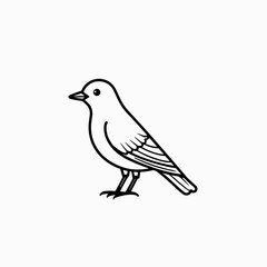 Line drawing of a bird standing on white background concept of simplicity  