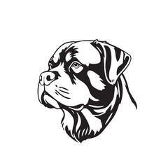 Rottweiler Dog silhouette on white background. Dog head icon. Dog logo design. Dog vector design.