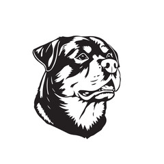 Rottweiler Dog silhouette on white background. Dog head icon. Dog logo design. Dog vector design.