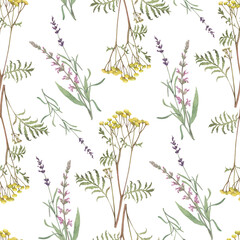 Watercolor seamless pattern of tansy, lavander, salvia.Hand-drawn clip-art on white background.Realistic images of Medicinal herbs for packaging, textiles, printing, holiday cards, wedding, menu