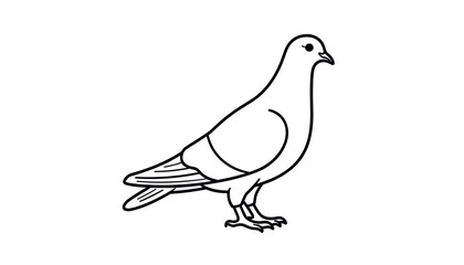Fototapeta premium Illustration of a pigeon standing in a simple line art style on a light background, copy space 