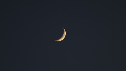 달, 나이트, sky, 공간, 요약, 초승달, blue, 검다, stars, 삽화, 벡터, 천문학, 아이콘, 라이트, 기호, 달빛, 다크, 행성, 똑똑하다, 백, 구름