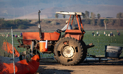 A farm worker on a tractor looking at other workers in a strawberry field in the distance