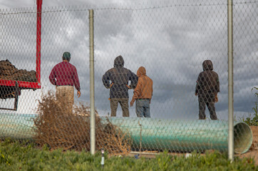 Farm workers behind a chain link fence looking out at a stormy sky