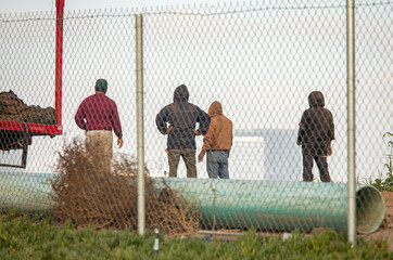Farm workers behind a chain link fence looking out at a white sky