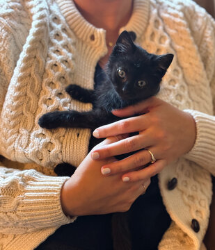 A person wearing a cozy cream-colored cable-knit sweater holds an adorable small black kitten, highlighting its curious expression and shiny fur.