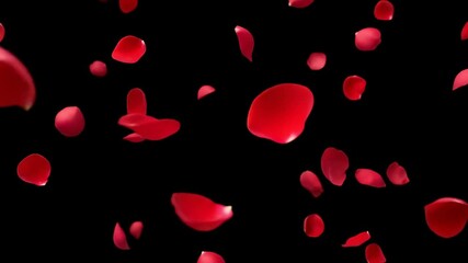 Explosion Burst of Red Rose Petals from a Heart Made of Petals on Black Background — Footage Video, Motion Design Element, or Aesthetic Animated Background - Powered by Adobe