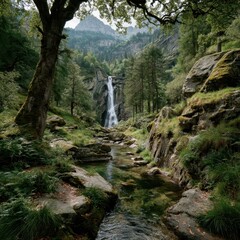 Verdant forest with a waterfall cascading into a clear stream