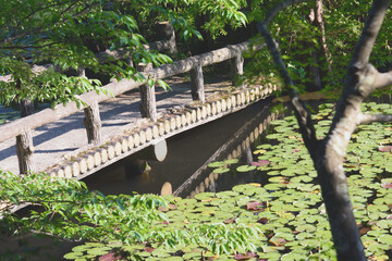 兵庫県・神戸市立森林植物園の長谷池午後の風景