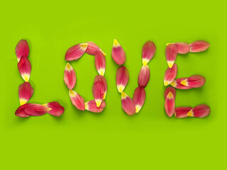Sign love made of pink tulip petals on green background. Romance and passion message concept....