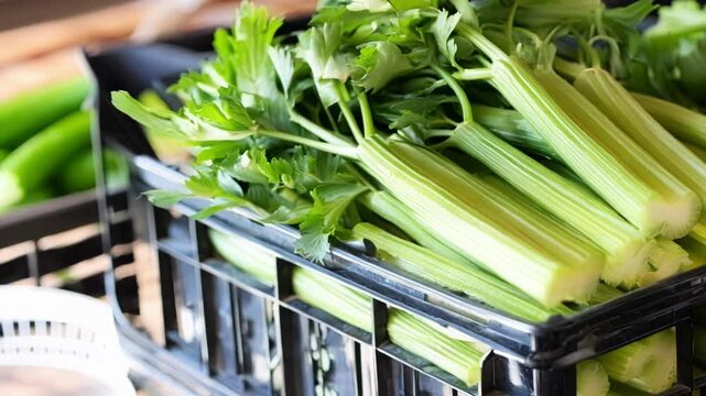Freshly harvested, vibrant green celery sticks are neatly arranged in crates, ready for sale at a bustling farmers market. The crisp stalks promise a healthy and delicious addition to any meal