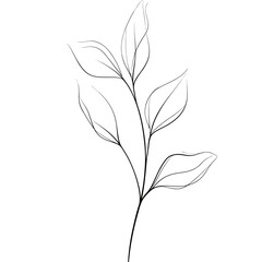 Clean botanical leaf drawn with one soft line.


