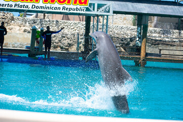 Tropical Wildlife Park with Animals 