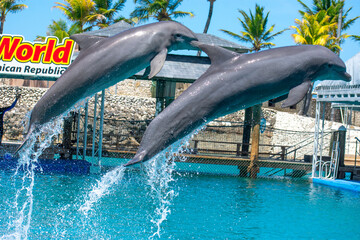 Tropical Wildlife Park with Animals 