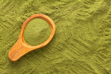 Pure dried moringa powder in a spoon - Moringa oleifera