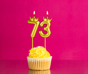 Birthday celebration with number 73 candle - Yellow cupcake on a pink background