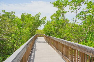 St. Petersburg, Forida, USA 06 29 2025: The landscape of Weedon Island Preserve Cultural and Natural History Center